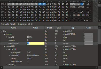 010 Editor 模板结果面板