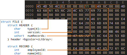 变量与字节的映射关系